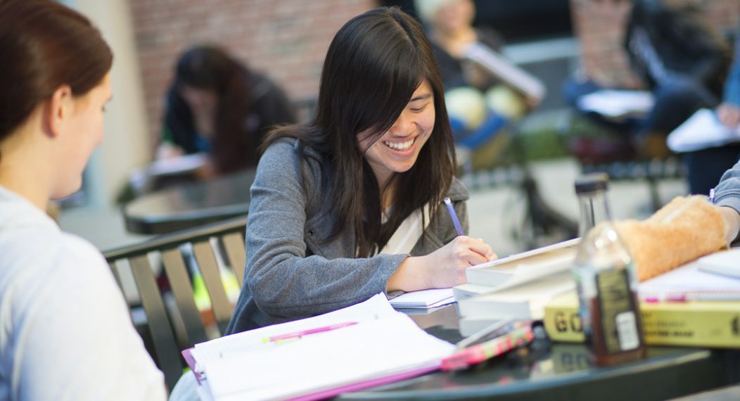 English student studying outdoors